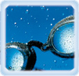 Schwimmbrillen Goggles