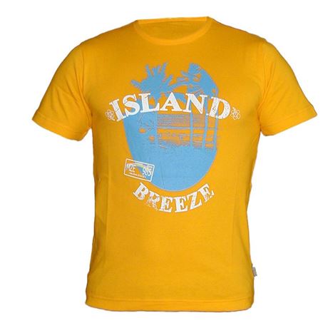 T-SS T-Shirt Chiemsee Island