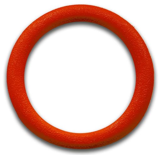 TASP Tauchring WR RT