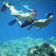 Image de la cat&#xE9;gorie Plong&#xE9;e