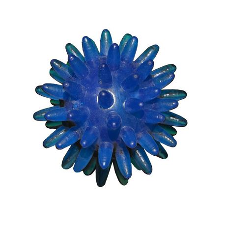 TASP Igelball blau 54 mm