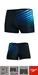 SMAS Aquashort Speedo Men PlMt