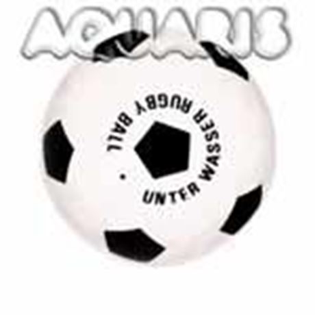 WBL Unterwasser Rugbyball