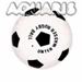 WBL Unterwasser Rugbyball