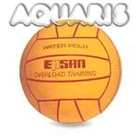 WBL Overload Trainingsball