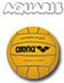 WBL Arena Wasserball Kinder