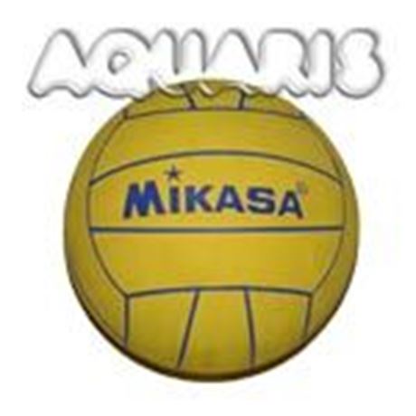 WBL Mikasa Olympia Herren