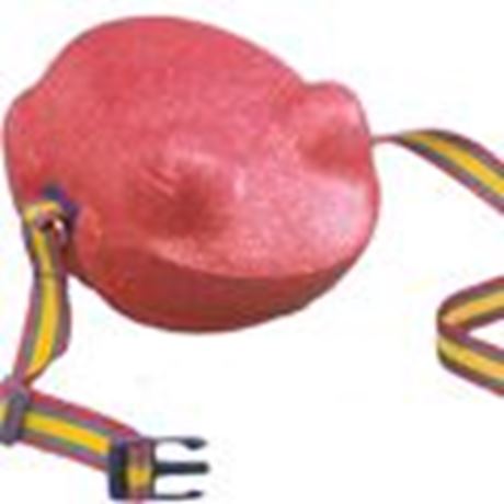 SLSG Schwimmei Frosch