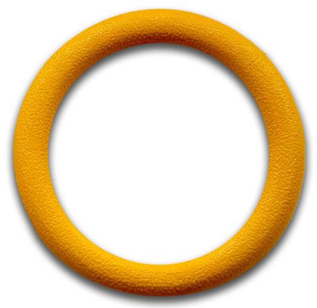 TASP Tauchring WR GB