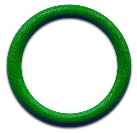 TASP Tauchring WR-GN