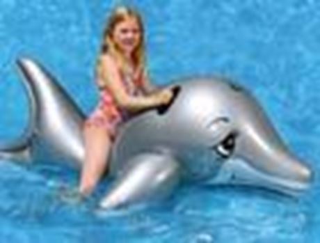 ASTE Delfin