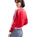 TSWJ Icons RelaxIV TeamJ WM RT