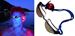 ZRDI Orbiloc SWIM & RUN RT