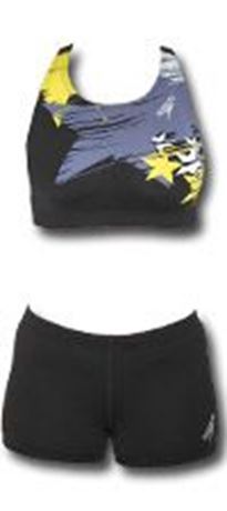 SWS2 Speedo Ostarna SZ