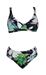 MD2T Triumph Bikini K6102C-Cup