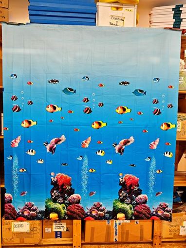 Fische-B180xH200